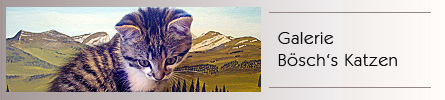 Fotogalerie Katzen