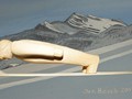 09_simon_amman_0000