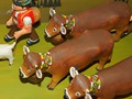 10_alpaufzug_0624a