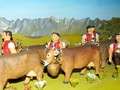 28_alpaufzug_0516