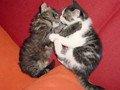 12_Ich_liebe_dich_0687