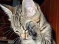 35_Ach_diese_Paparazzi_1994e