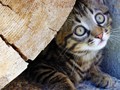 57_Hast_mich_doch_gefunden_2155