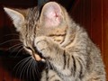 58_Bitte_keine_Fotos_mehr_1192