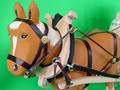 11_lediwagen_2698