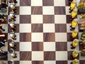 03_schach_3732