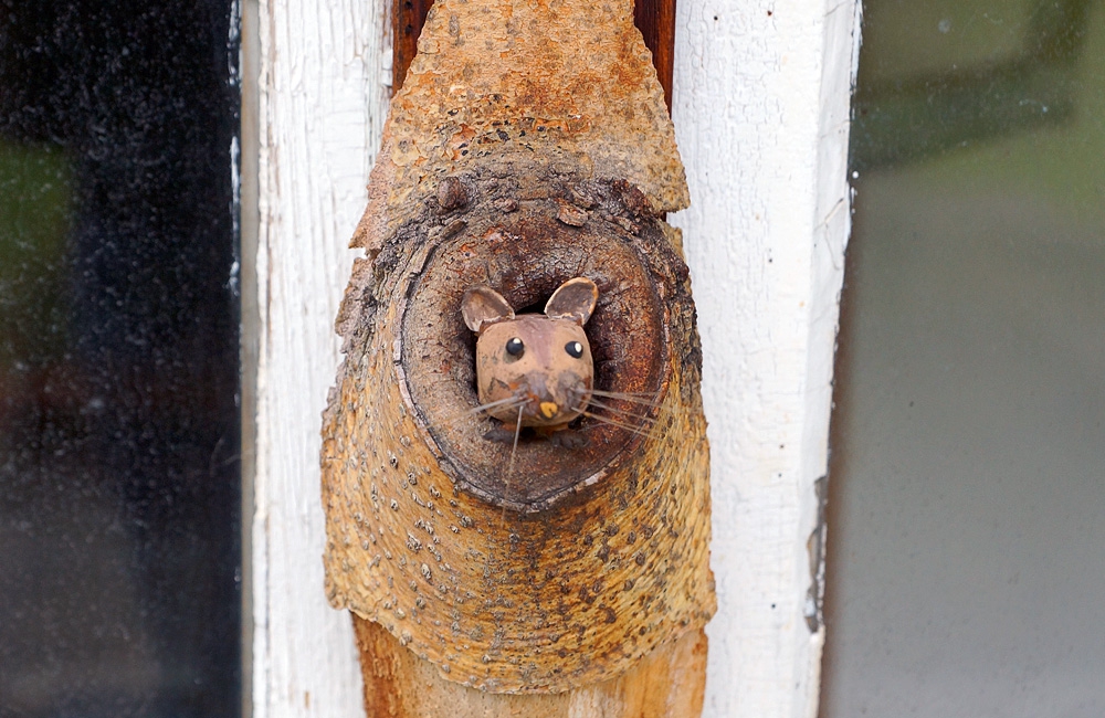 29_haselmaus_9653