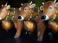05_kuehe_00449