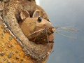 30_haselmaus_9627