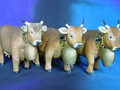 45_schellen_kuehe_0035