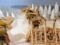 31_winter_0869